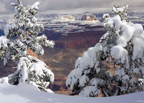 Grand Canyon Winter Snow Pictures