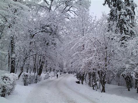 Cluj Napoca Imagini De Iarna Si Craciun ÎŢi Mai AminteŞti CrĂciunul