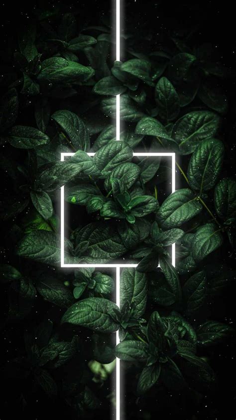 Neon Foliage Green Plants Iphone Wallpapers