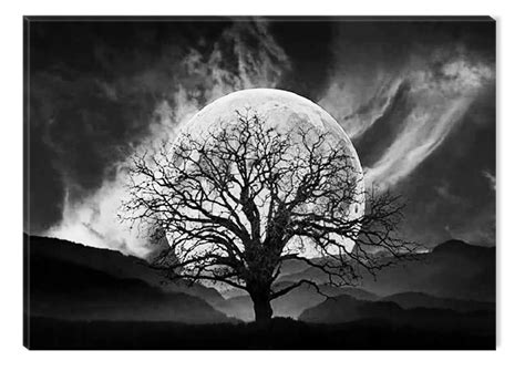 Startonight Canvas Wall Art Black And White Abstract Big Moon And Old