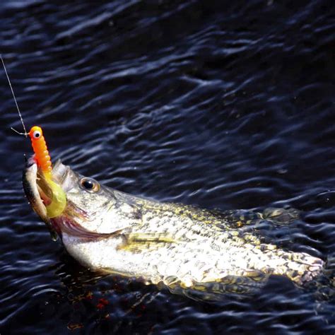 9 Best Crappie Fishing Lakes In Indiana Best Fishing In America