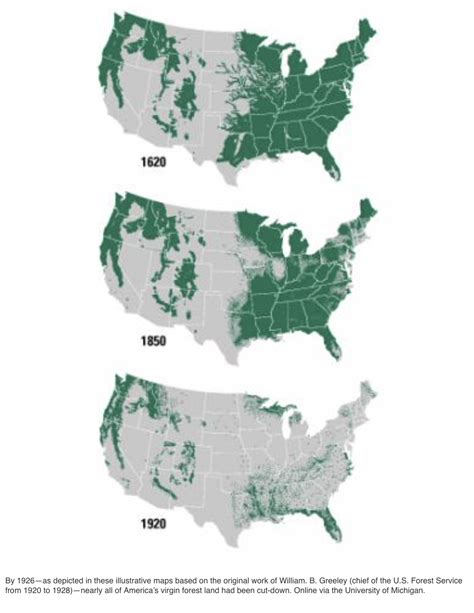Map Of The Week American Deforestation Over The Years Mappenstance