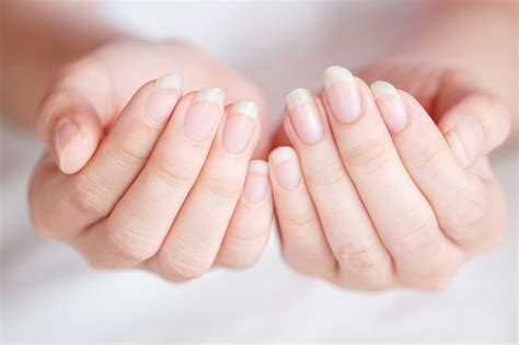 A Complete Guide To Maintaining Healthy And Hygienic Nails Free Bunni