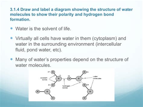 Now, using your chemistry knowledge that a covalent bond needs to share a pair of electrons to make a strong enough bond, you will divide 8 (the number of valence electrons) by 2 (the number of electrons in each strong bond). 3.1.4 Draw and label a diagram showing the structure of