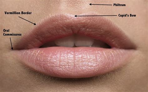 What To Do If Lip Filler Goes Wrong Simply Clinics
