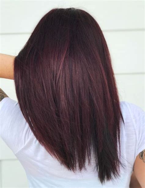 Red Cool Tone Hair Color Burgundy Dark Red Hair Color Dark Hair Dye