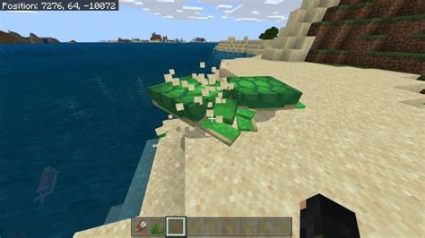 How To Tame Sea Turtles In Minecraft What Box Game