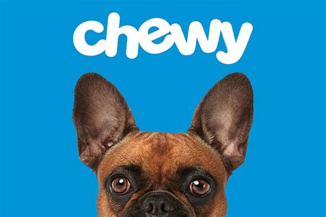 Chewy Sales Growth Reflects Pet Industry E Commerce Boom 2020 09 15