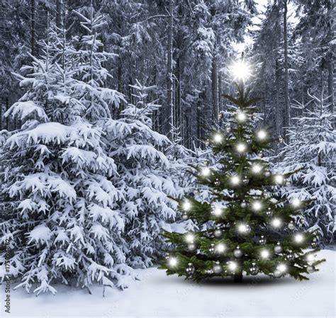 Weihnachtsbaum Im Winterwald Stock Foto Adobe Stock