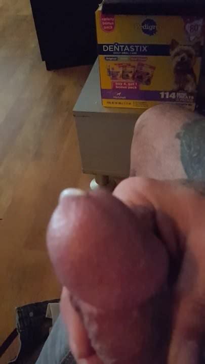 Hombre Peludo Acaricia La Polla Peluda Xhamster