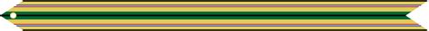 Southwest Asia Service Army Campaign Streamers On Embassy Flag Inc