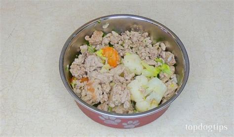 Hill's science diet sensitive stomach. Recipe: Homemade Dog Food for Skin Allergies | Healthy dog ...