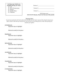 Meet martin and charlotte as they have an appointment to discuss ivf treatment and then join the clinic's lab to understand meiosis before. Mitosis Worksheet