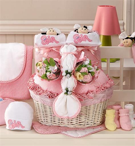 What to get a newborn baby gift. New Twin Girl Newborn Gift Basket