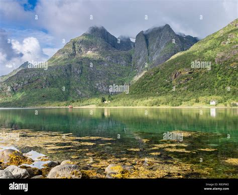 Shore At The Raftsund The Strait Between Islands Hinnøya And