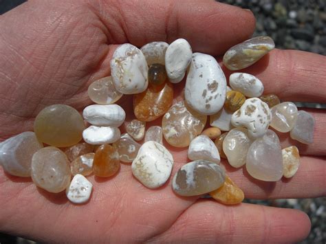 Hunting For Agates On The Beach Minerals And Gemstones Rocks And