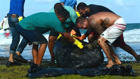 Brazil Oil Spill Where Has It Come From Bbc News