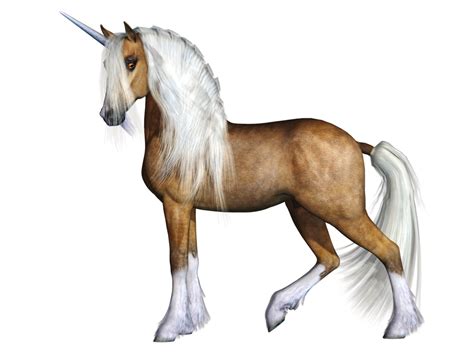 Unicorn Png Clipart Png All
