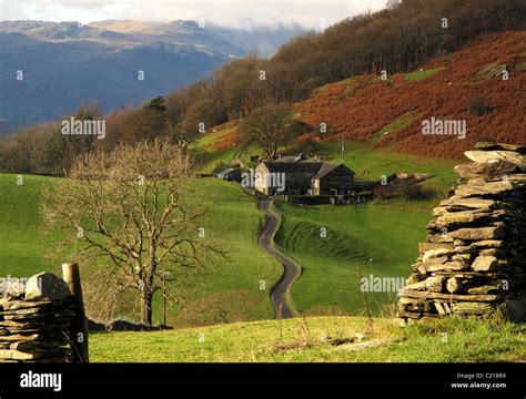 Opening in old dry stone wall with isolated old Lakeland hill farm Stock Photo - Alamy