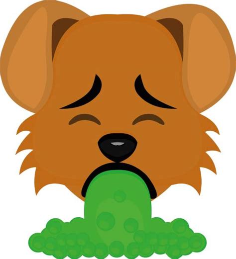 Dog Vomit Illustrations Royalty Free Vector Graphics And Clip Art Istock