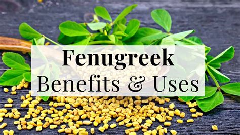 fenugreek health benefits uses side effects and more