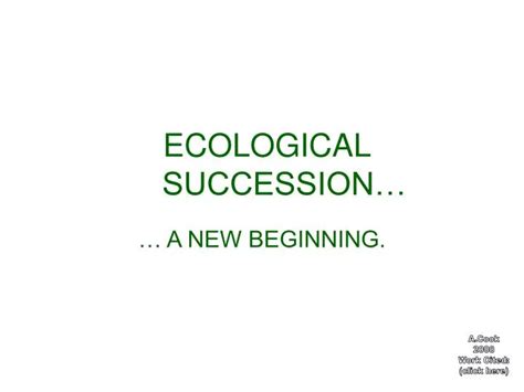 Ppt Ecological Succession Powerpoint Presentation Free Download