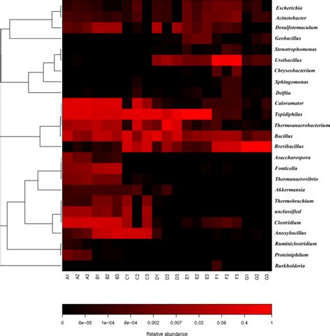 Heat Map Of The Most Abundant Genera Of The Samples Pretreated By Download Scientific
