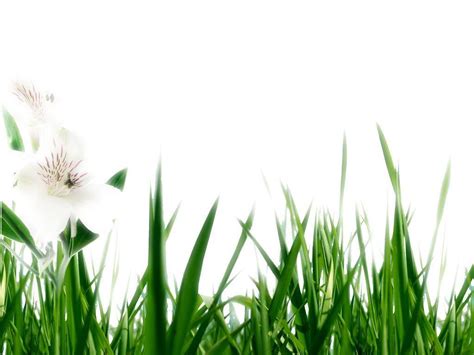 Cool Spring Backgrounds Wallpaper Cave