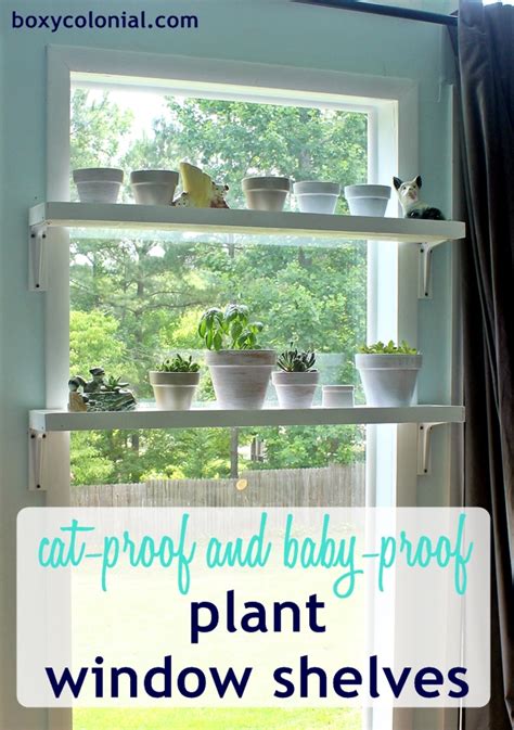 We did not find results for: DIY Window Plant Shelves