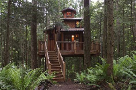 The Sanctuary Treehouse A Very Cozy Treehouse Tree House Cool