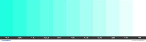 Luminous Turquoise Colors Palette Colorswall