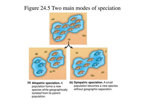 Ppt Chapter 24 The Origin Of Species Powerpoint Presentation Id519363