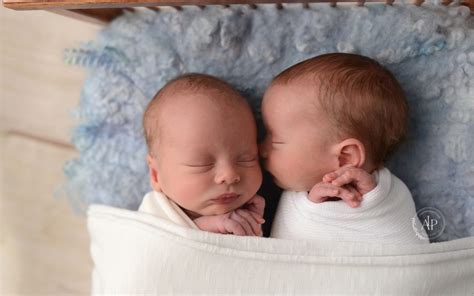 Newborn Photo Gallery Twin Boys Baby Photographer Cleveland Ohio
