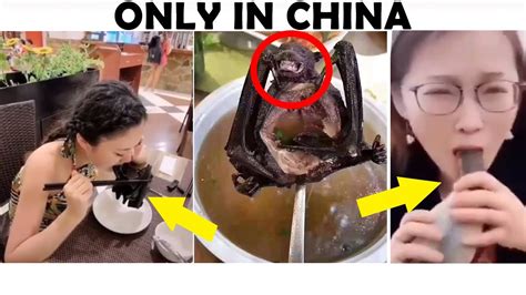 Top 10 Disgusting And Unusual Foods That Chinese People Eat Youtube
