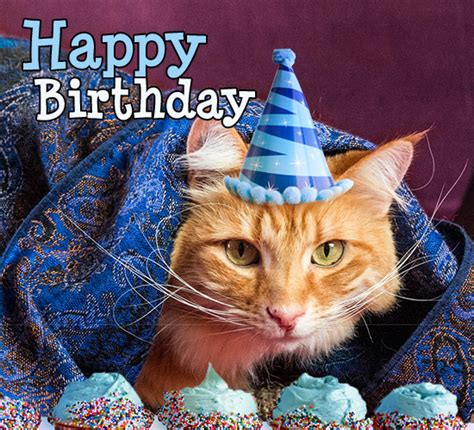 Kitty Cat Birthday Wishes Free Happy Birthday Ecards Greeting Cards
