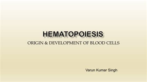 Hematopoiesis Origin And Development Of Blood Cells Ppt