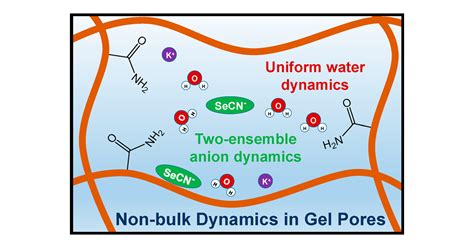Water Dynamics In Polyacrylamide Hydrogels Journal Of The American