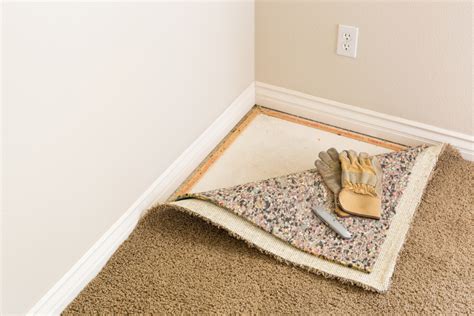 Carpet Padding Buyers Guide How To Choose The Best Padding For Your Carpet