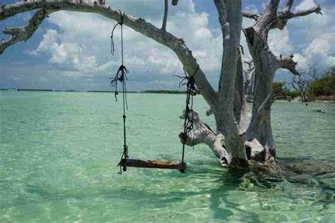 Snipes Key The Story Of The Famous Snipes Sandbar Key West Casual