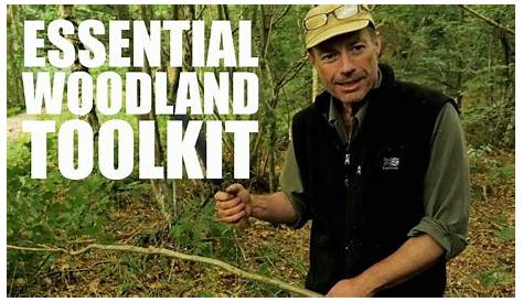 repair kit the forest