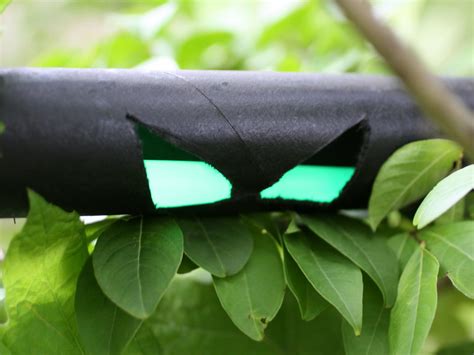 How To Make Halloween Spooky Eyes To Hide In The Bushes