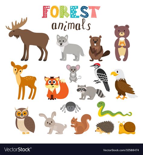 Set Cute Forest Animals In Woodland Cartoon Vector Image