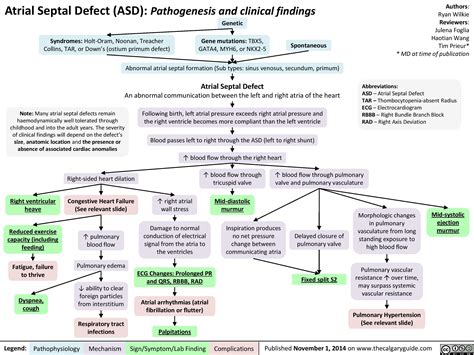 Atrial Septal Defect Pathogenesis And Clinical Findings Calgary Guide