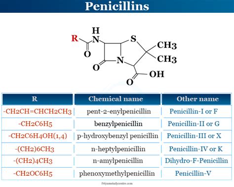 Penicillin Types Uses Side Effects