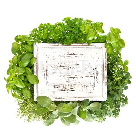 Closeup Of Fresh Herbs With Wooden Stock Image Colourbox