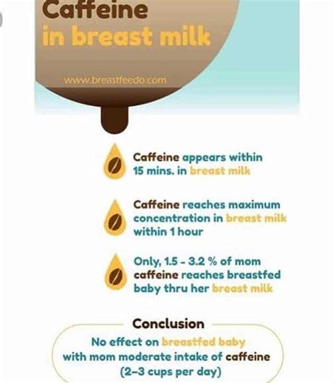 How Long Does Caffeine Stay In Breastmilk Espresso Expert