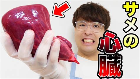 【おるたなチャンネル】サメの心臓を食べてみたらまさかの味だった！【閲覧注意】 Youtuberコメ速報