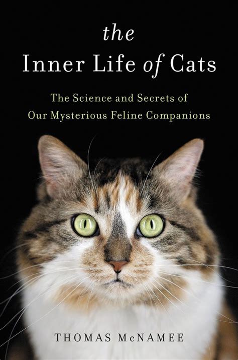 3 Books For Cat Lovers Lifestyle3 Books For