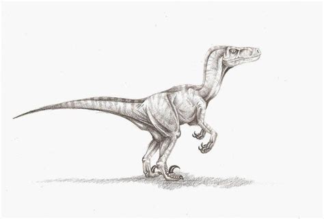 Velociraptor By ~malenkij On Deviantart In 2019 Dinosaur Tattoos