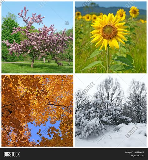 Spring Summer Autumn Winter Image And Photo Bigstock